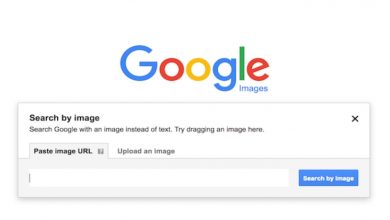 Photo of Google began to allow users to obtain more information through image search