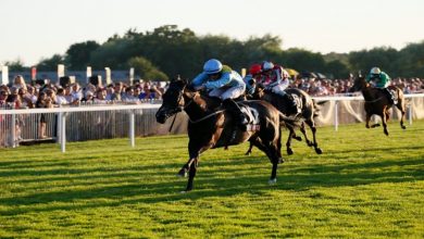 Photo of 10 Unique Royal Ascot Facts and Rules