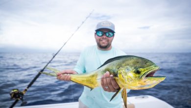 Photo of Top Things to Understand When Getting Started In Sport Fishing 