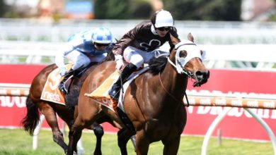 Photo of 2021/22 Melbourne Cup Preview: Who Are The Favourites To Shine In Melbourne?