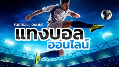 Photo of The Important Facts To Know about the popularity of online casinos in Thailand